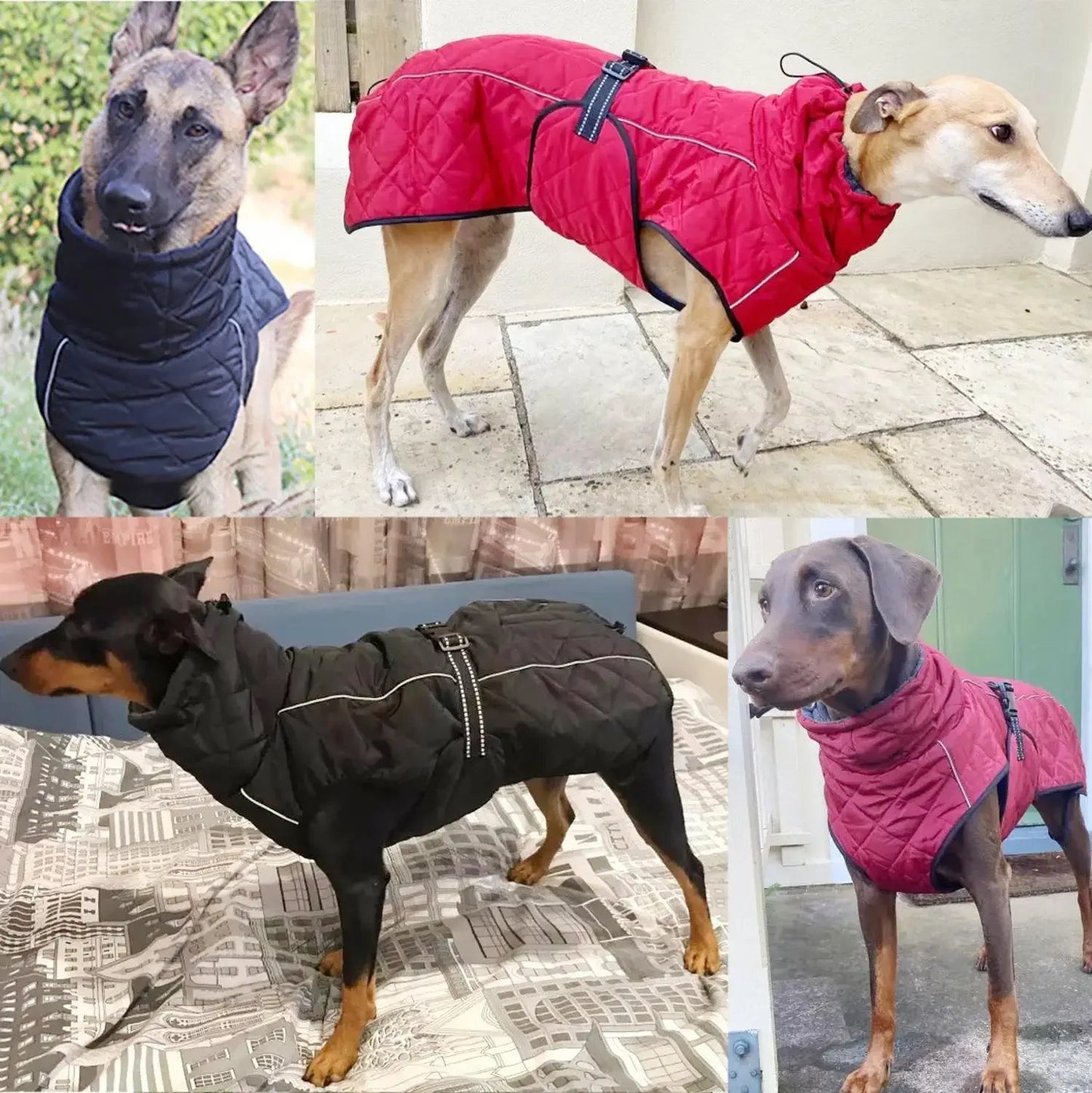 Dog Outdoor Jacket Waterproof Reflective Pet Coat Vest Winter Warm Cotton Dogs Clothing for Large Middle Dogs Labrador - HOMELIVING