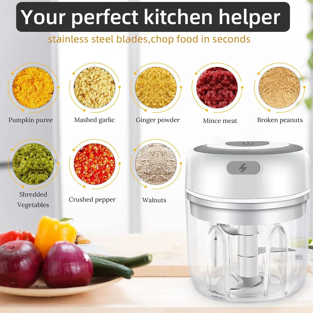 Vegetable Chopper and Mini Food Processor