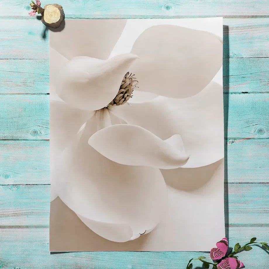 Beige Reed Peony Orchid Rose Boho Wall Art Canvas Painting Minimalist Posters And Prints Wall Picture For Living Room Home Decor - HOMELIVING