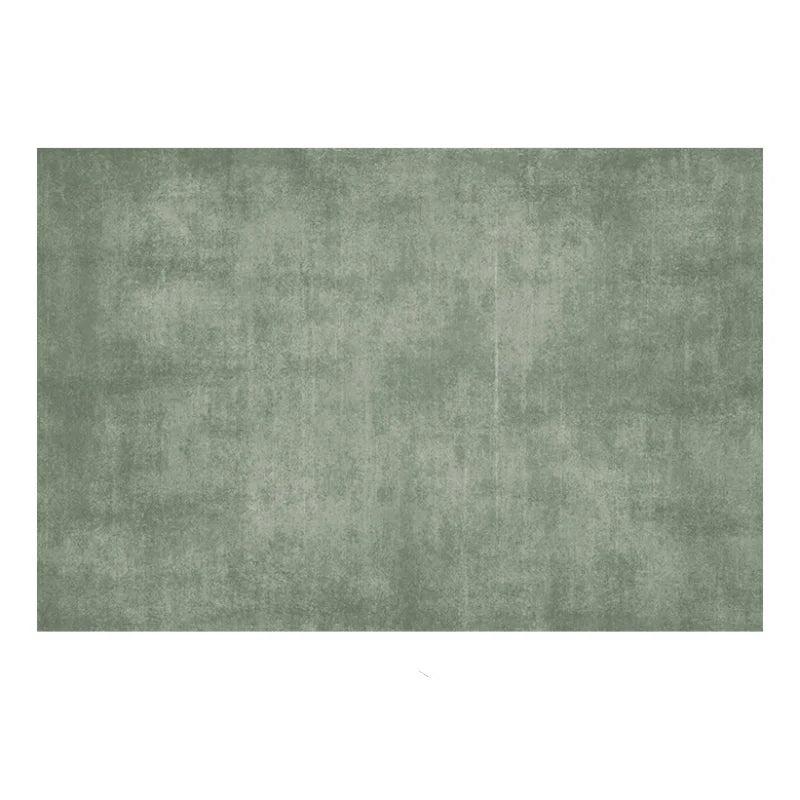 Modern Minimalist Bedroom Decor Solid Color Carpet Home Washable Mat Large Area Study Rug Light Luxury Carpets for Living Room - HOMELIVING